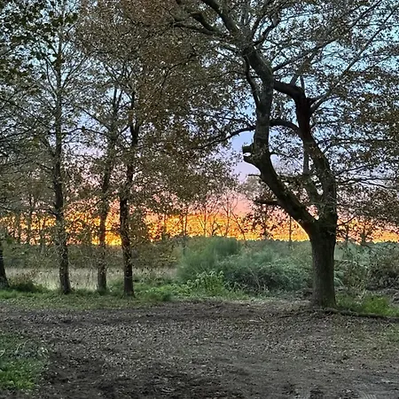 Domaine D'hybere Vakantiehuis Lucbardez-et-Bargues