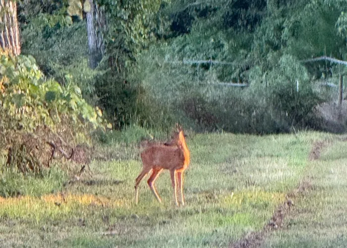 Domaine D'hybere * Lucbardez-et-Bargues