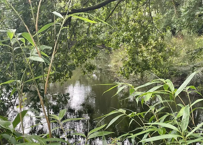 Domaine D'hybere * Lucbardez-et-Bargues